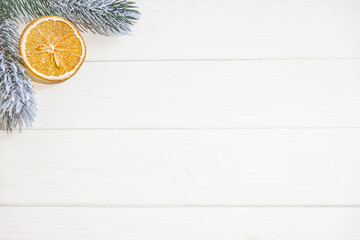 Copy space background with fir tree and dry orange