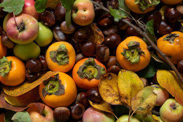Close up of autumn fruits. Fresh raw apples, kaki and chestnuts, healthy eating concept