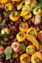 Close up of autumn fruits. Fresh raw apples, kaki and chestnuts, healthy eating concept