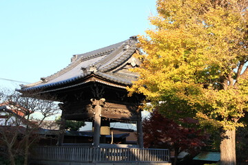 Fototapeta na wymiar 秋の鎌倉。本覚寺境内。