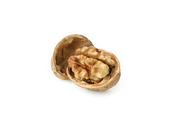Walnut isolated on white background, close up