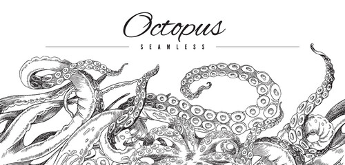 Seamless octopus pattern. Horizontal border, black and white hand drawn horizontal vector illustration © sabelskaya