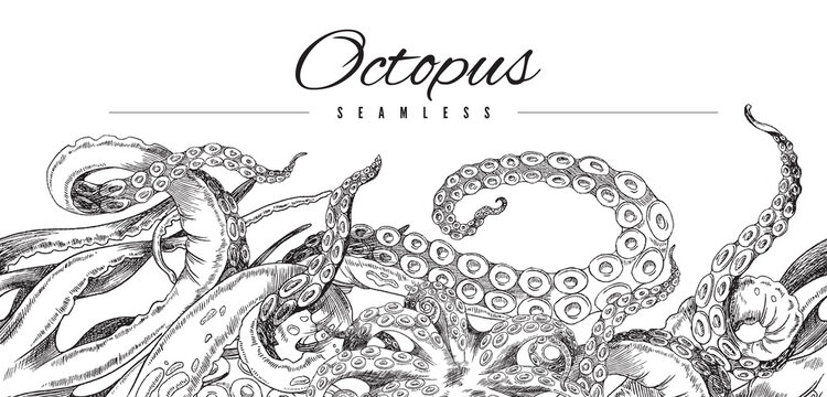 Seamless octopus pattern. Horizontal border, black and white hand drawn horizontal vector illustration