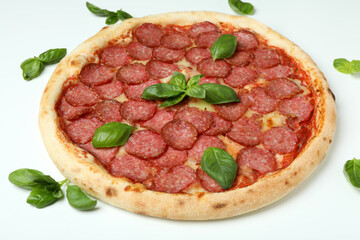 Concept of tasty food with Salami pizza on white background