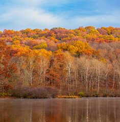 Autumn trees on the shore of Raccoon Lake with a blue clouded sky and water reflections.