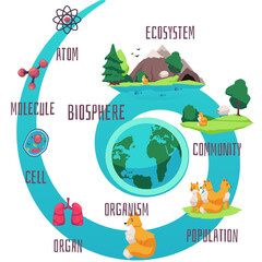 Biodiversity and classification of biosphere life infographics cartoon. - obrazy, fototapety, plakaty