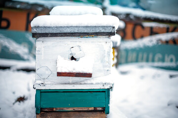 old hive entrance in winter. Colorful hives on apiary in winter stand in snow among snow-covered trees. Hives on apiary in December in Europe. old apiary of multi-hull hives.