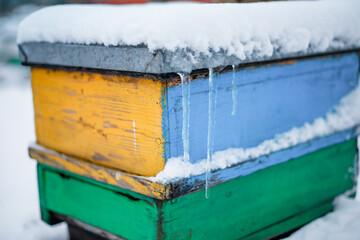 Fototapeta na wymiar Colorful hives on apiary in winter stand in snow among snow-covered trees. Beehives in apiary covered with snow in wintertime in frosty. 