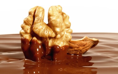 Walnut with Nutshell in Chocolate Sauce on white Background Isolated