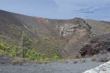 La Palma, Insel, Vulkan, Wald, Caldera, Krater, Berg, Urlaub © Sambucca Mai
