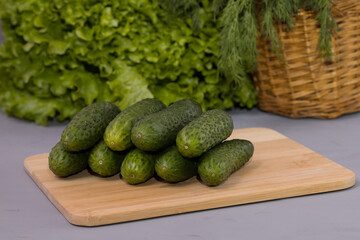 Fresh cucumbers with green salad, on wooden desk