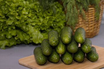 Fresh cucumbers with green salad, on wooden desk