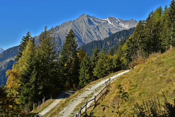 Herbst in Südtirol, Blick zur Texelgruppe bei Meran, Italien