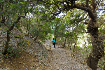 Fototapeta premium Young woman walking in forest
