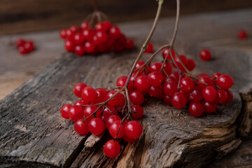 Berries of red viburnum close-up on a wooden background
