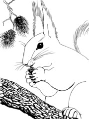    Drawing for coloring. A squirrel on a tree holds a cone.    - 469333742