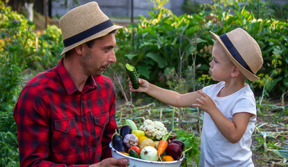 a man holds a bowl of fresh vegetables from the farm in his hands. Nature.