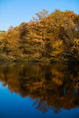 Fall scenic landscape, lake and trees