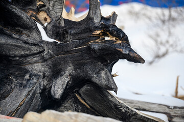 The burnt rhizome of a tree against the background of snow in the form of a rapidly moving...