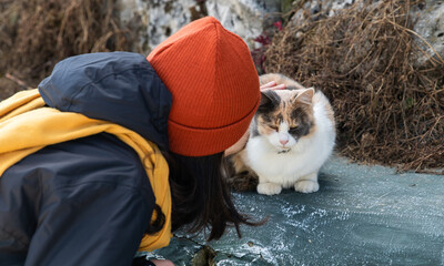 Woman petting and playing with a nice cat with orange and black color on it. People being friendly with the animals.