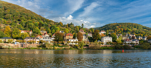 Fototapeta na wymiar Villen und historische Häuser am Neckar in Heidelberg