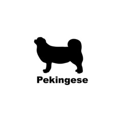 Pekingese