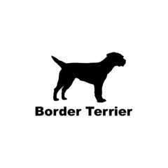 Border Terrier.