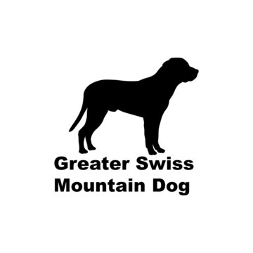 "Greater Swiss Mountain Dog" Images – Browse 3,763 Stock Photos