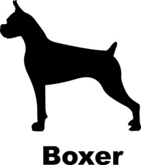 Boxer