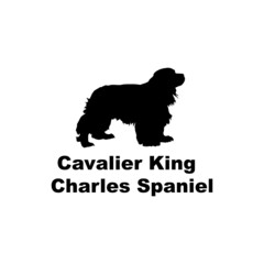  Cavalier King