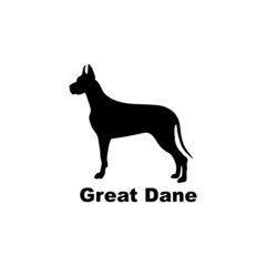 Great Dane.