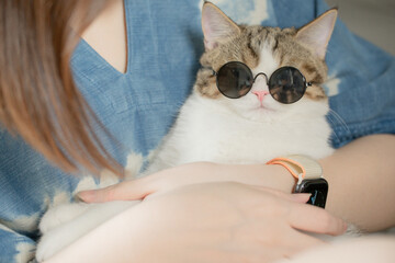 asian woman play and wear sunglasses with her cat during work from home