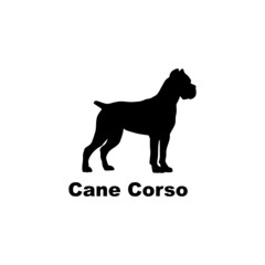 Cane Corso.