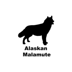 Alaskan malamite.svg