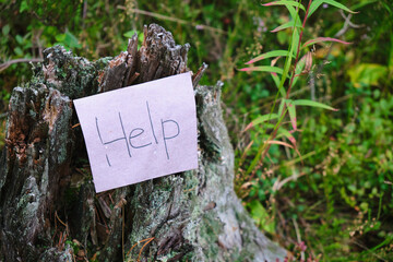 paper with the inscription HELP on old stump against the background of grass