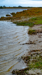 hatchet pond new forest landscape