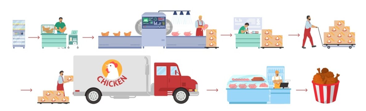 Poultry Farming, Meat Production Vector Infographic. Chicken Factory Processing Line, Distribution, Sale. Food Industry.