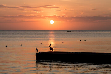 Obraz na płótnie Canvas Pelican on a pier at sunset