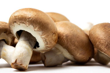 Brown champignons on a white background. Champignon variety. Healthy vegetarian food.