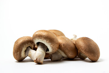 Brown champignons on a white background. Champignon variety. Healthy vegetarian food.