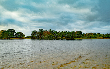 hatchet pond new forest landscape