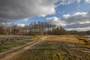 Fototapeta na wymiar Autumn landscape with a dirt road on a bright sunny day. November landscape with clouds and trees without leaves.