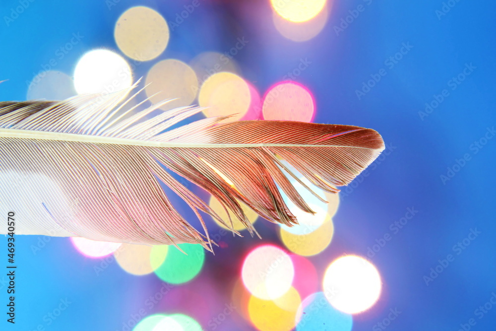 Wall mural selective focus bird feather in colorful bokeh background