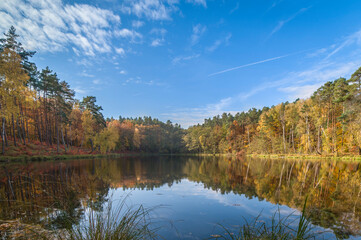 Beautiful autumn trees, reflected in the water