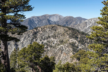 Fototapeta premium Mt Baldy and Bighorn Peak in the San Gabriel Mountains near Ontario and Los Angeles, California. 