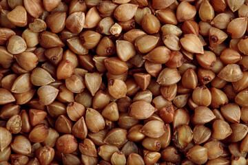 Full frame macro photo of buckwheat groats. Healthy eating  concept