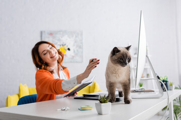 blurred woman smiling while reaching cat sitting on desk near computer monitor