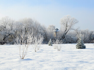 Sunny winter frosty day in park. Winter background, landscape, postcard.