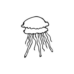 Doodle sea jellyfish. Inhabitant of the coral reef. Invertebrate animal of the ocean, seabed, oceanarium. Hand drawn thin line art vector illustration. Isolated simple element.