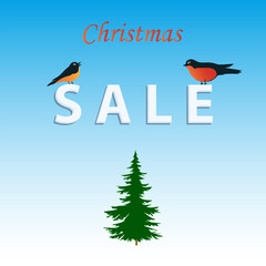 Two bullfinches, Christmas tree - gentle blue background - vector. Card. Banner. Poster. Winter sale. Christmas sale.